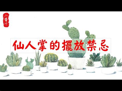 仙人掌風水陽台|專家揭秘：仙人掌風水位置的5大禁忌